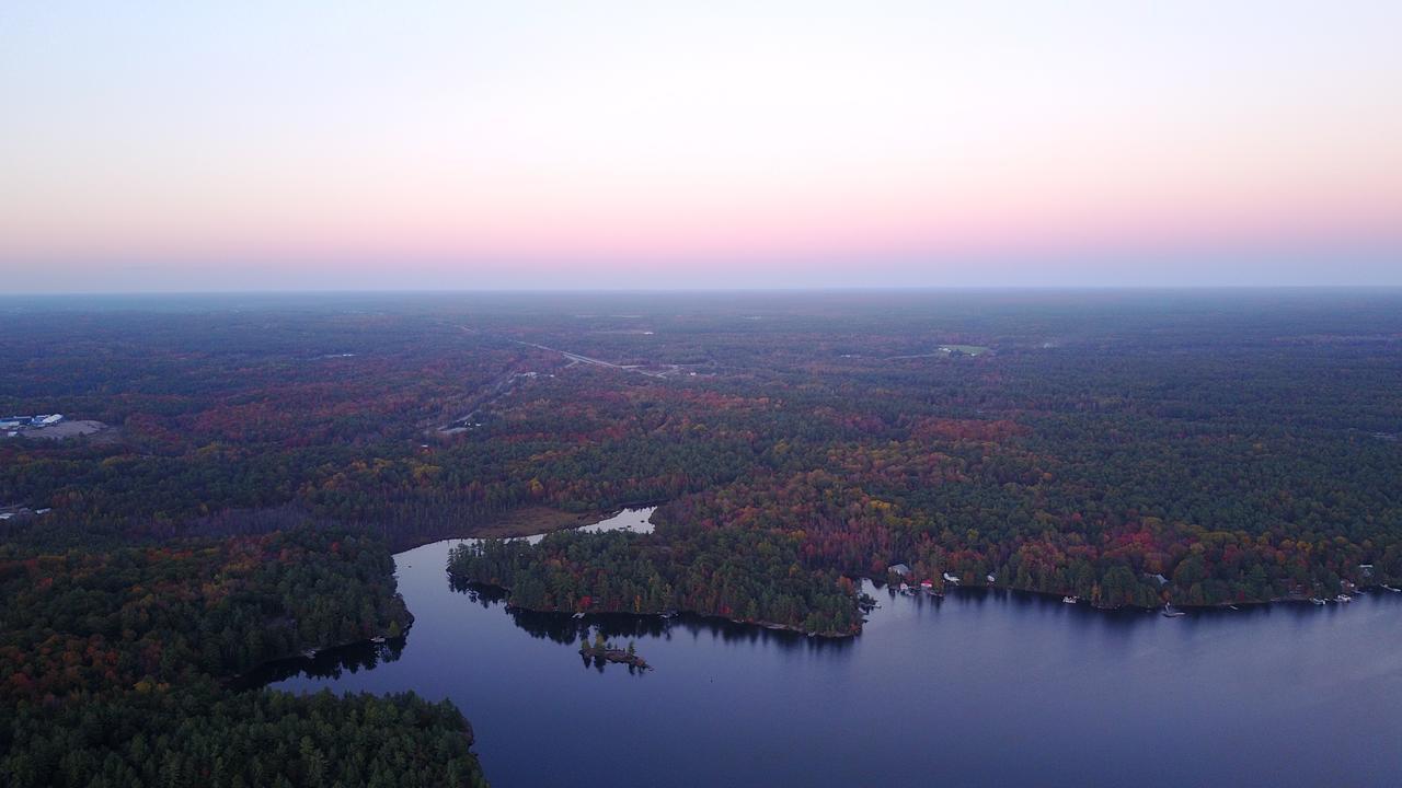 Four Ninety Muskoka B & B Gravenhurst Εξωτερικό φωτογραφία